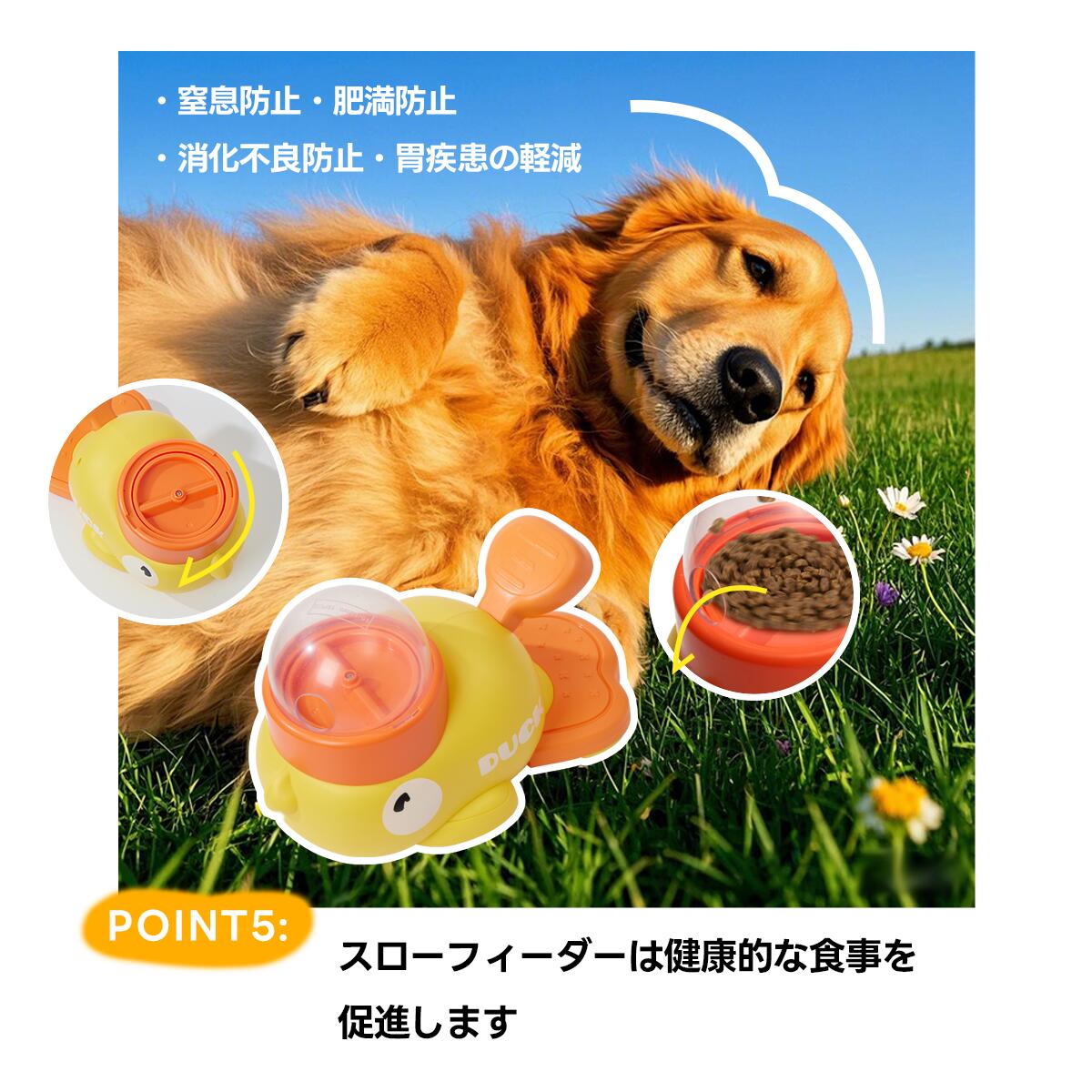知育給餌器 ペット知育おもちゃ